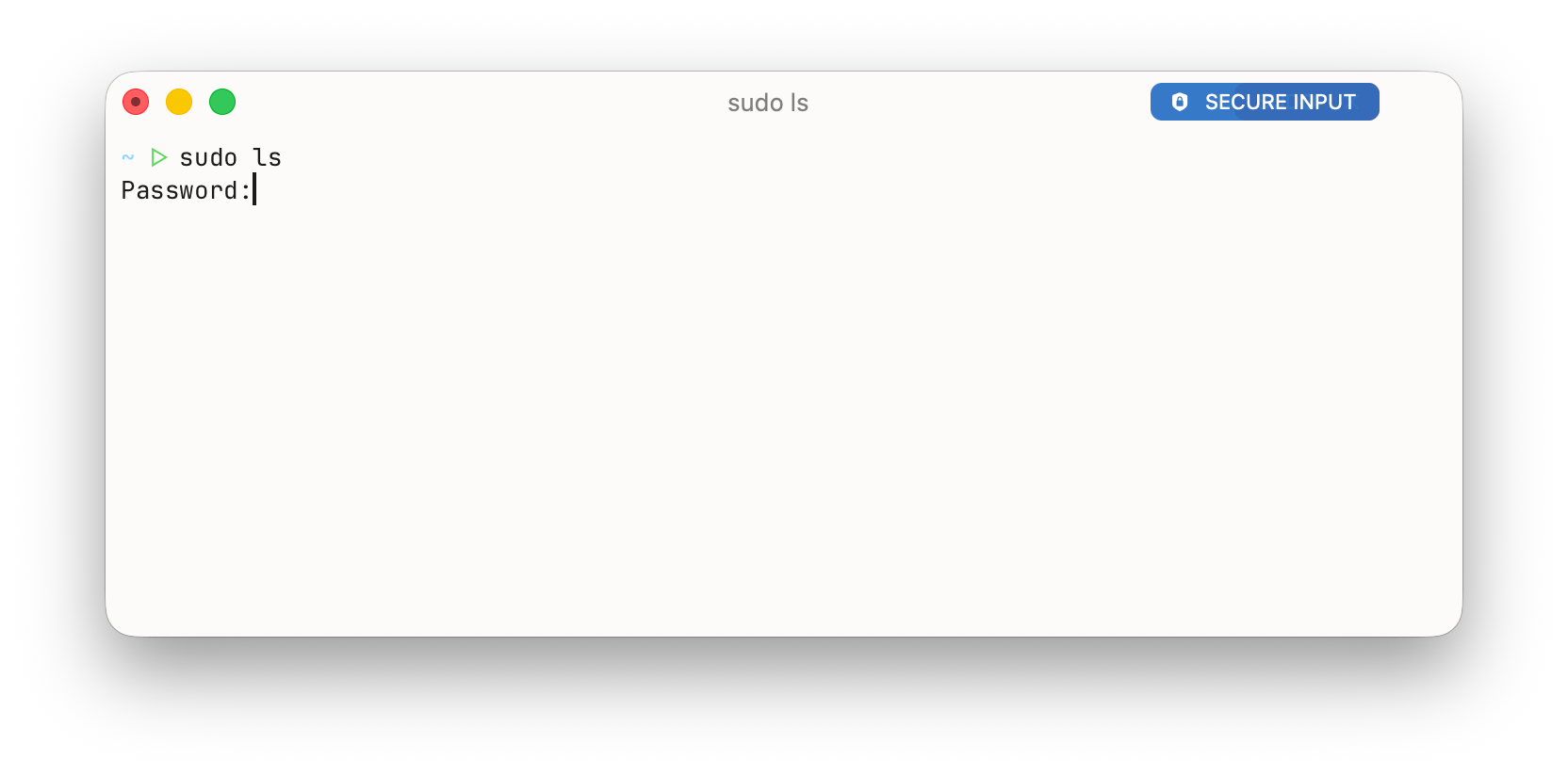 secure-input